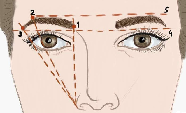 Определение формы брови